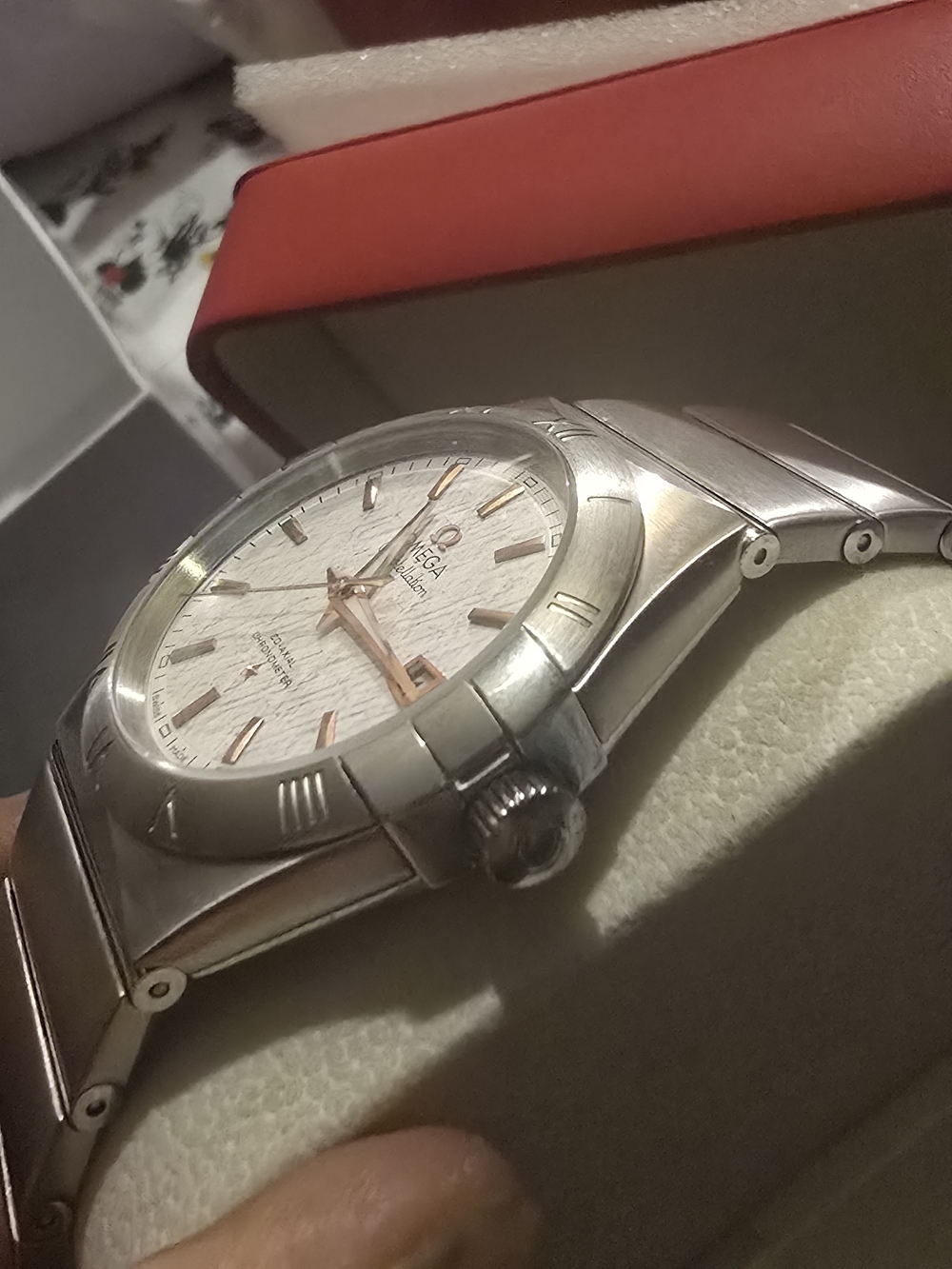 Stainless Steel Men's Watch in Silver